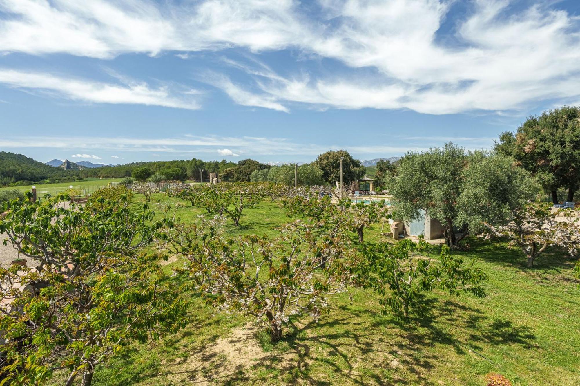 Appartement Mas El Brugué à Terrades Extérieur photo